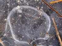 Eisfläche mit großem runden Muster und kleineren Kreisen